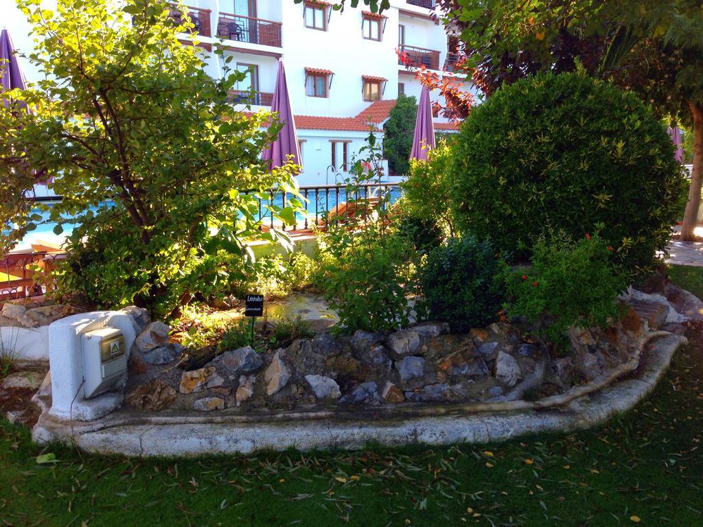 Hotel Alcadima Ланхарон Екстер'єр фото